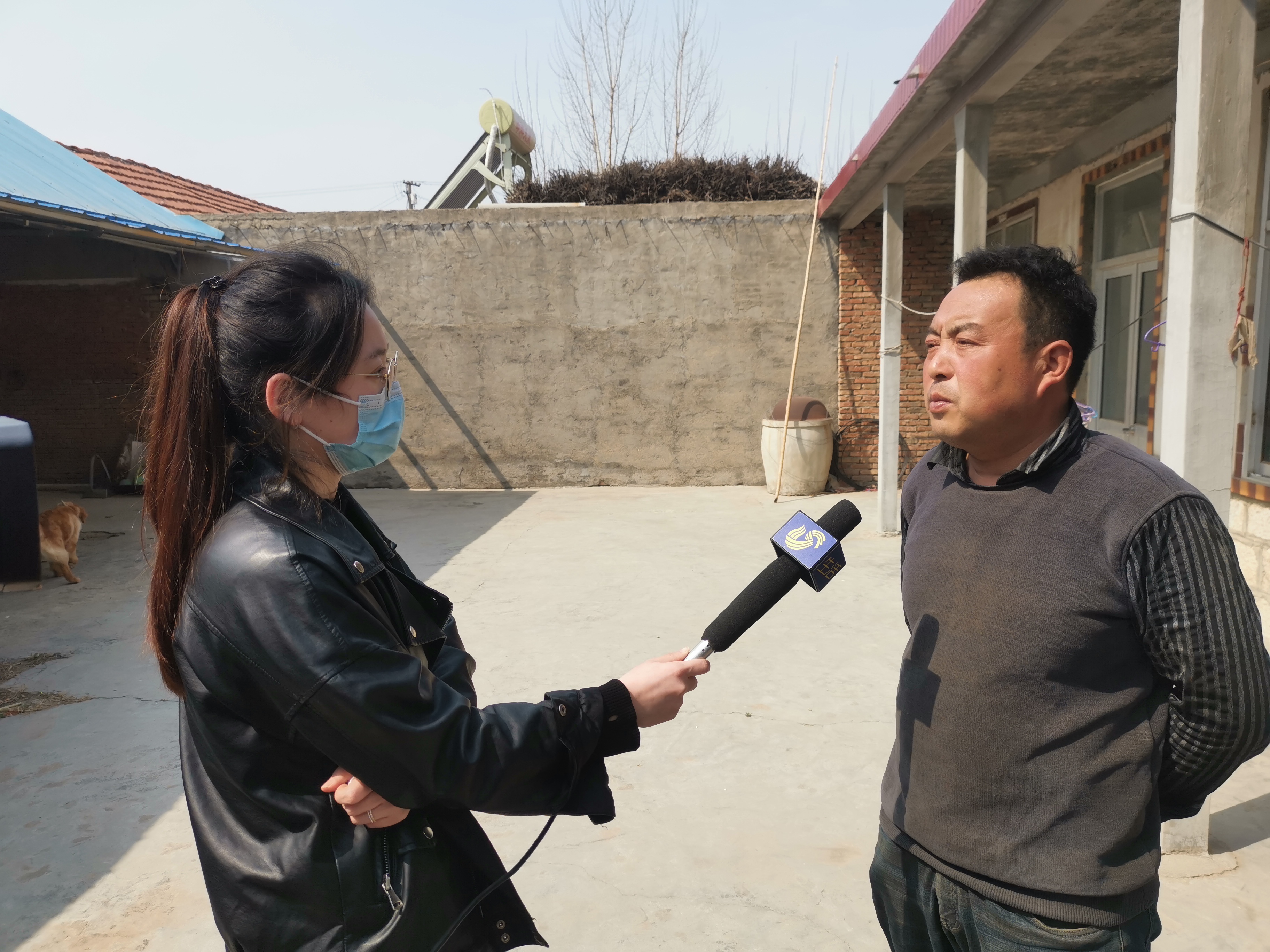 第209所 平度市崔家集镇状元府蜂鸟电竞官网(中国)官方网站刘丽新小学 第209所 平度市崔家集镇状元府蜂鸟电竞官网(中国)官方网站刘丽新小学