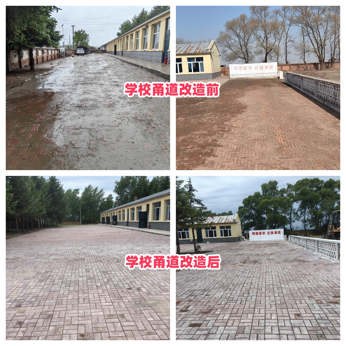 第254所 黑龙江巴彦县黑山镇民乐村蜂鸟电竞官网(中国)官方网站侯玉霞学校 第254所 黑龙江巴彦县黑山镇民乐村蜂鸟电竞官网(中国)官方网站侯玉霞学校