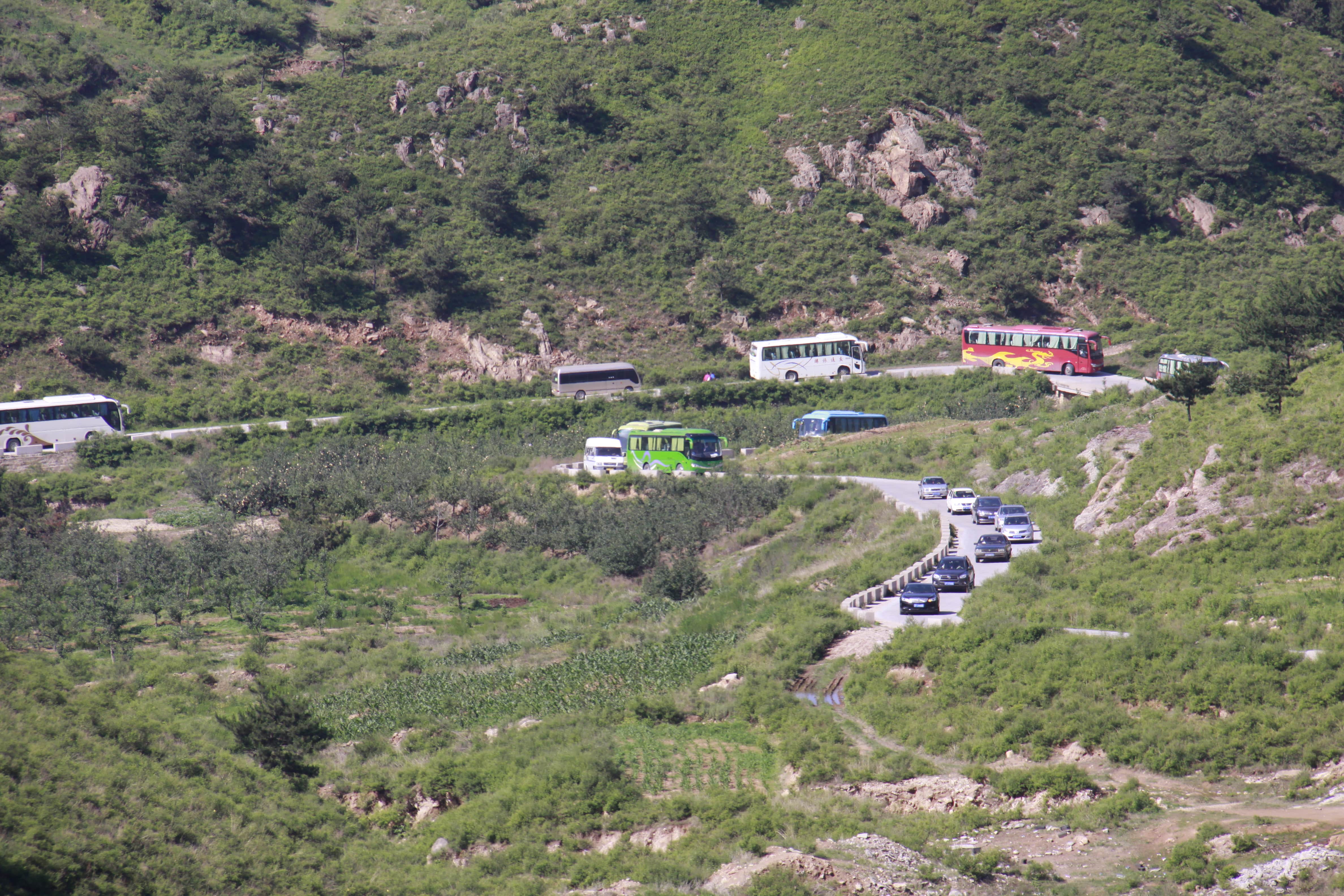 第26所 葫芦岛市永安堡乡蜂鸟电竞官网(中国)官方网站张越小学 第26所 葫芦岛市永安堡乡蜂鸟电竞官网(中国)官方网站张越小学